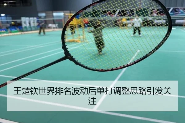 王楚钦世界排名波动后单打调整思路引发关注（NBA）